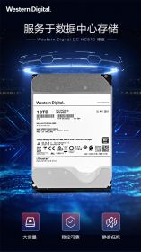 西部数据企业级硬盘10TB